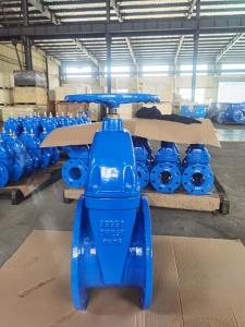 China ODM Flanged CI Soft Seat Gate Valve Supplier 125lb-150lb wholesale