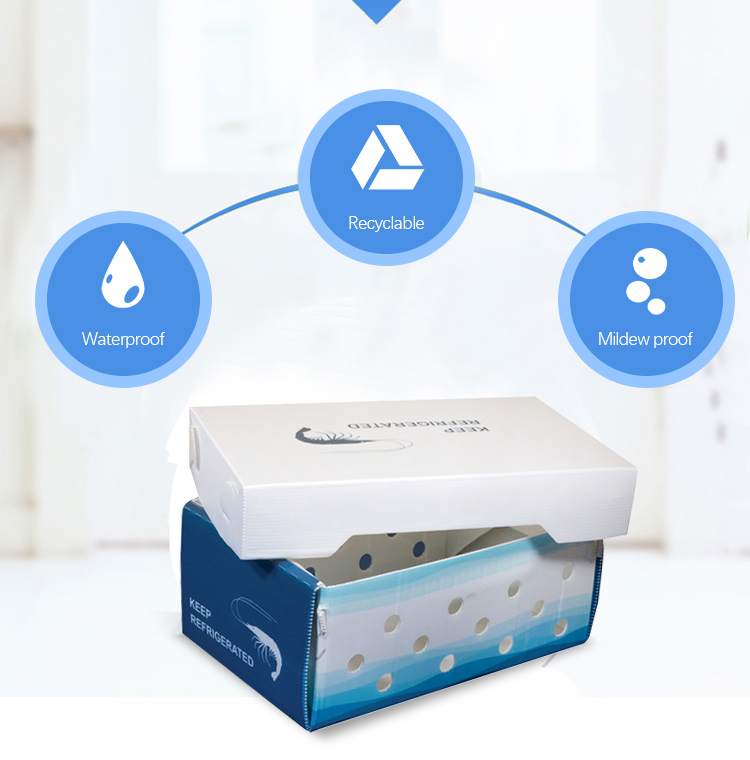 PP Corrugated Plastic Box for Vegetable and Fruit Agriculture Packing box