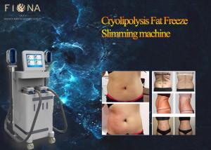 China High Frequency Lipo Cavitation Cryolipolysis Slimming Machine F250V L10A Fuse wholesale