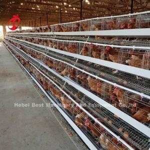 China Discount A Type Poultry Battery Cage For Layer Sale 160 birds In Zambia Adela wholesale