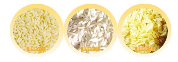 Hot sale enriched artificial Rice Machine processing line