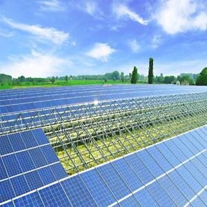 China Corrosion Resistant Agricultural Greenhouse Solar System wholesale