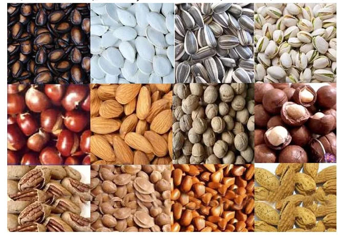 Multi Functional Food Processing Equipment Peanut Roasting Machine OEM
