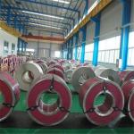 0.7mm 1.2mm Stainless Slit Coil 310 316 316L 430 904L 304 SS Coil