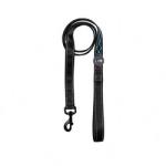 Rechargeable Harness Leash Set