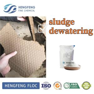 China High Molecular Flocculant Cationic Landfill Leachate Wastewater Treatment wholesale