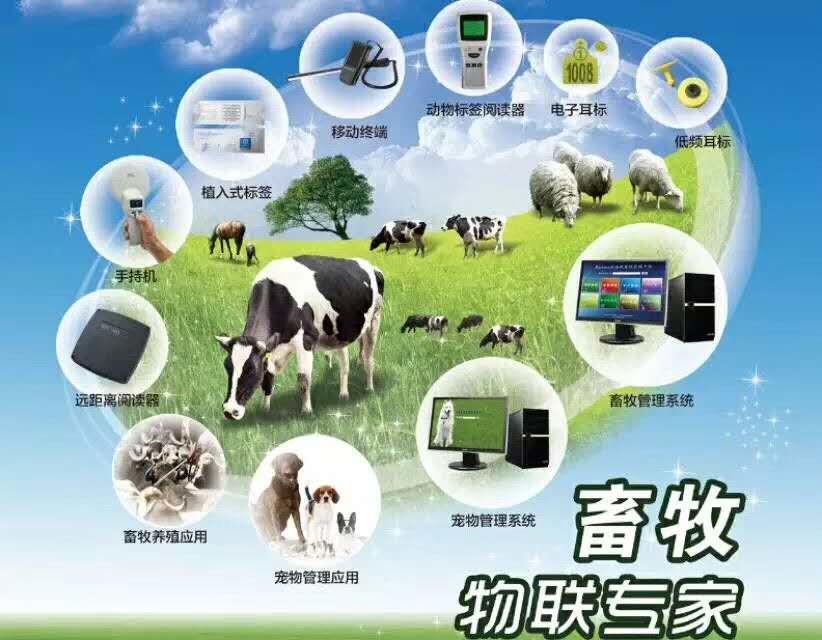 ICAR Non Toxic 100*50mm Livestock Microchip Syringe easy be scanned
