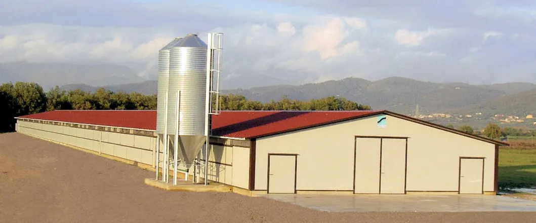 Steel Structure Chicken Poultry House Chicken Farm Broiler Chicken House