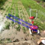 1650W Multifunctional Power Weeder Pastoral Manual Recoil Start