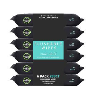 China Plastic Free Mint Flushable Wet Wipes 100% Plant Sourced Fibers Toilet Cleaning Wipes wholesale