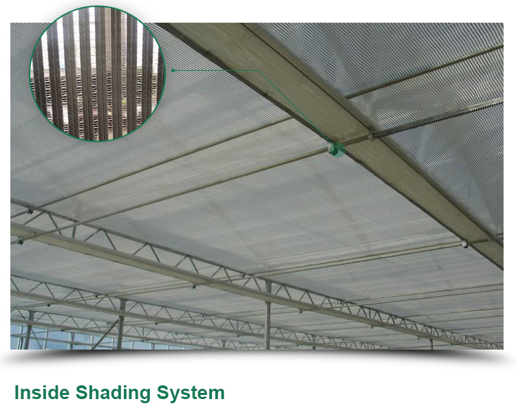 LITAI Greenhouse end Hot-dip Galvanized Steel Planting Greenhouse with Glass Material