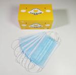 Non Irritating Hygiene Disposable Earloop Face Mask