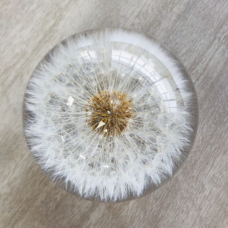 Dia80mm Dia90mm Flower Paperweight Clear Solid Epoxy Resin Sphere