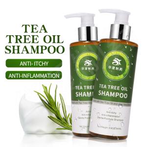 China Private Label Natural Organic Anti Inflammation Anti Hair Loss Tea Tree Oil Hair Shampoo wholesale