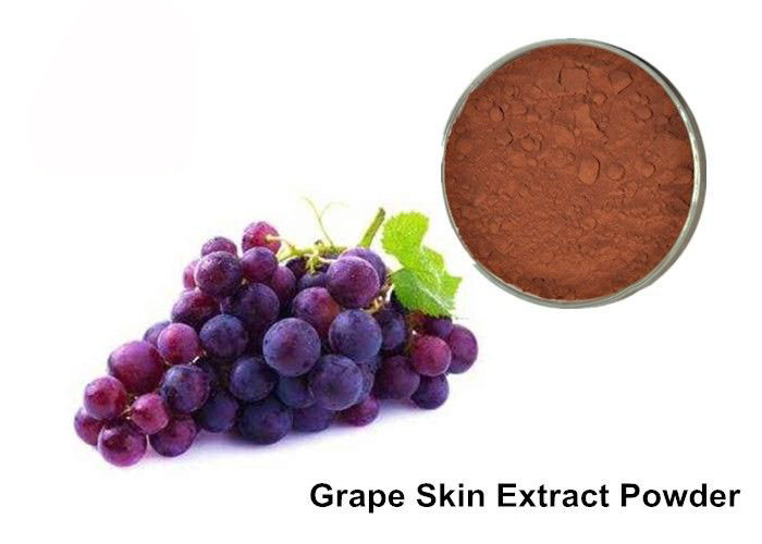 25% Anthocyanins Pure Grapeseed / Grape Skin Extract Powder