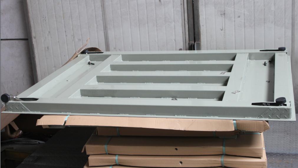 Industrial Electronic Balance Platform Floor Weighing Scales with Customized OBM Support and Carbon Steel