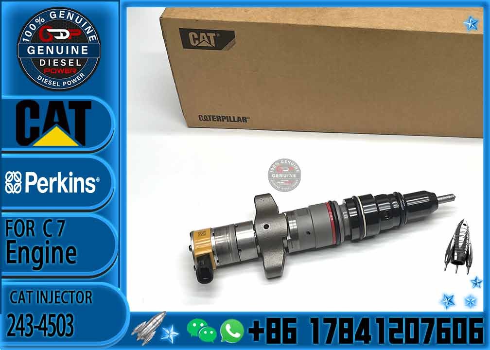 diesel engine parts Common rail injector 243-4503 10R-4763 10R-7221 20R-1260 10R-4761 387-9431 268-9577 293-4071