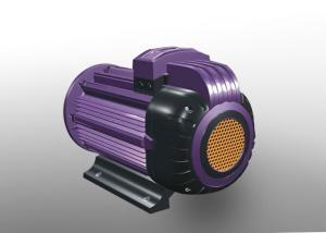 China IP54 Intelligent PM Motor wholesale
