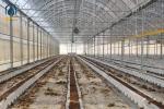 Agricultural Clear Plastic Greenhouse UV Resistant PE Film Greenhouse For Farms