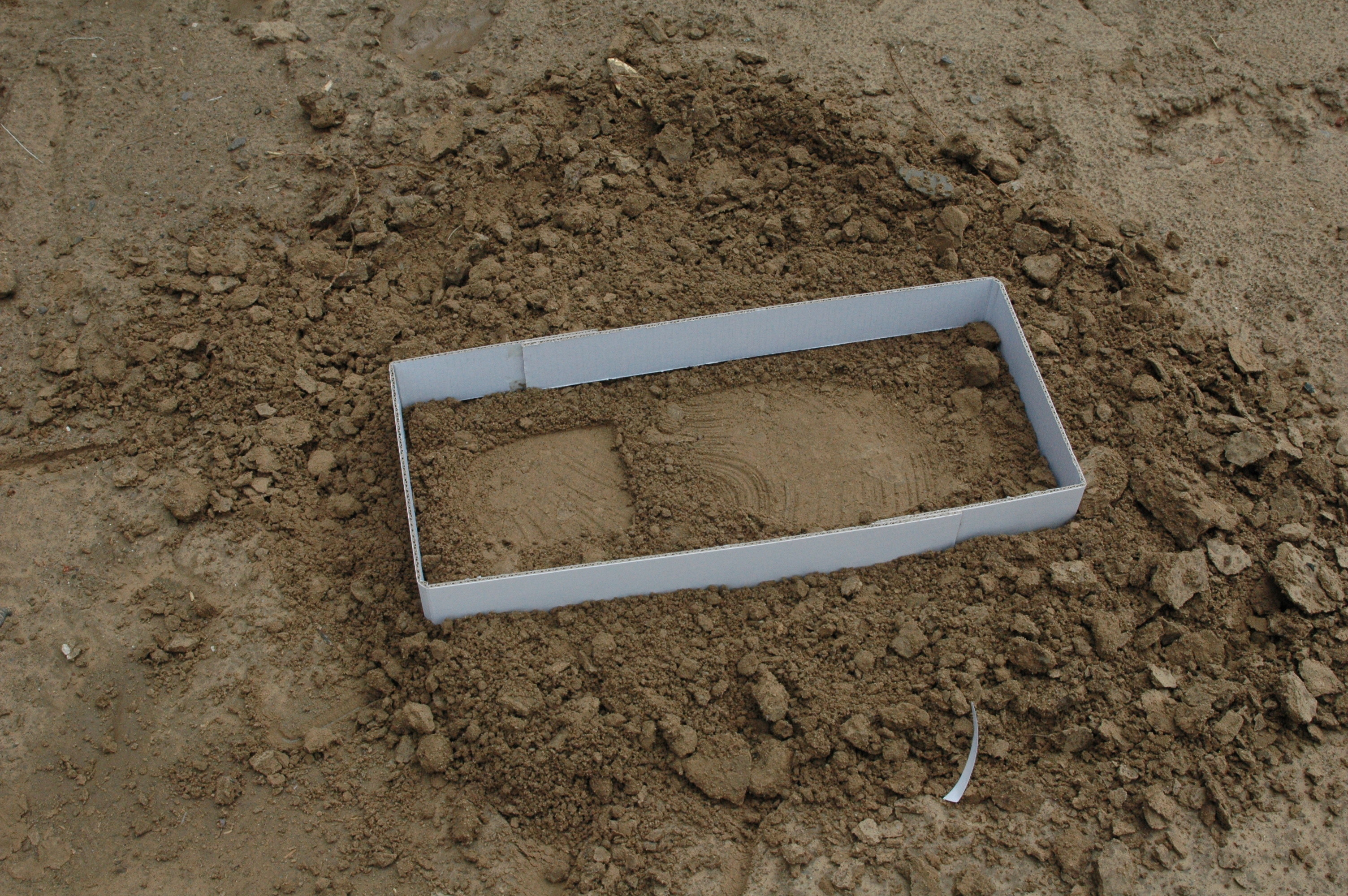 G035 BTSG-I Tridimensional footprint casting material kit