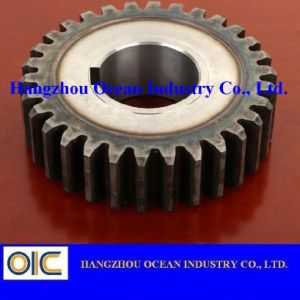 Machinery Special Steel Gear Pinion