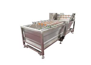 China Vegetable Cleaning Machine Bubble Washing Mushroom Jujube Washing Machine wholesale