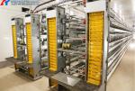 Easy Operate Poultry Farm Automatic Laying Nest PP