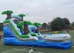 Silk Screen Printing Tropical Palm Inflatable Water Slide With Pool