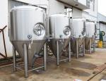 Industrial Large Beer Brewing Equipment 3 Vessel With Stout Tanks / Kettles