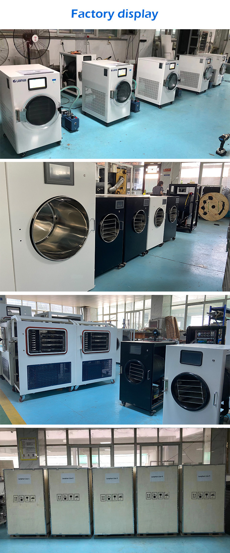 10-12 Kg/Batch Lyophilizer Vacuum Freeze Dryer For Candy