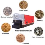 Best Price Automatic Fuel Feeding Industrial Biomass Steam Boiler For Sale