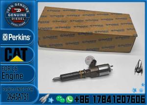 China High Quality Professional Densos Gasoline Car Fuel Common Rail Diesel Electric Fuel Injector Assy 2645A751 2645A746 2645 wholesale