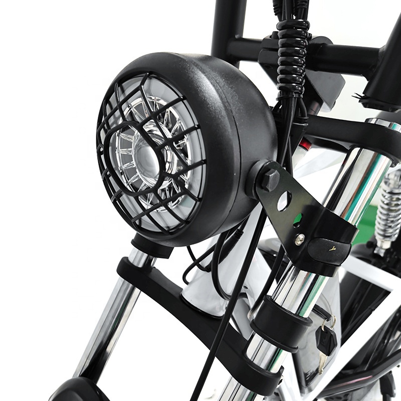 48V 500W City Bike Long Range Retro E-Bike with Powerful Lithium Battery and Disc Brake