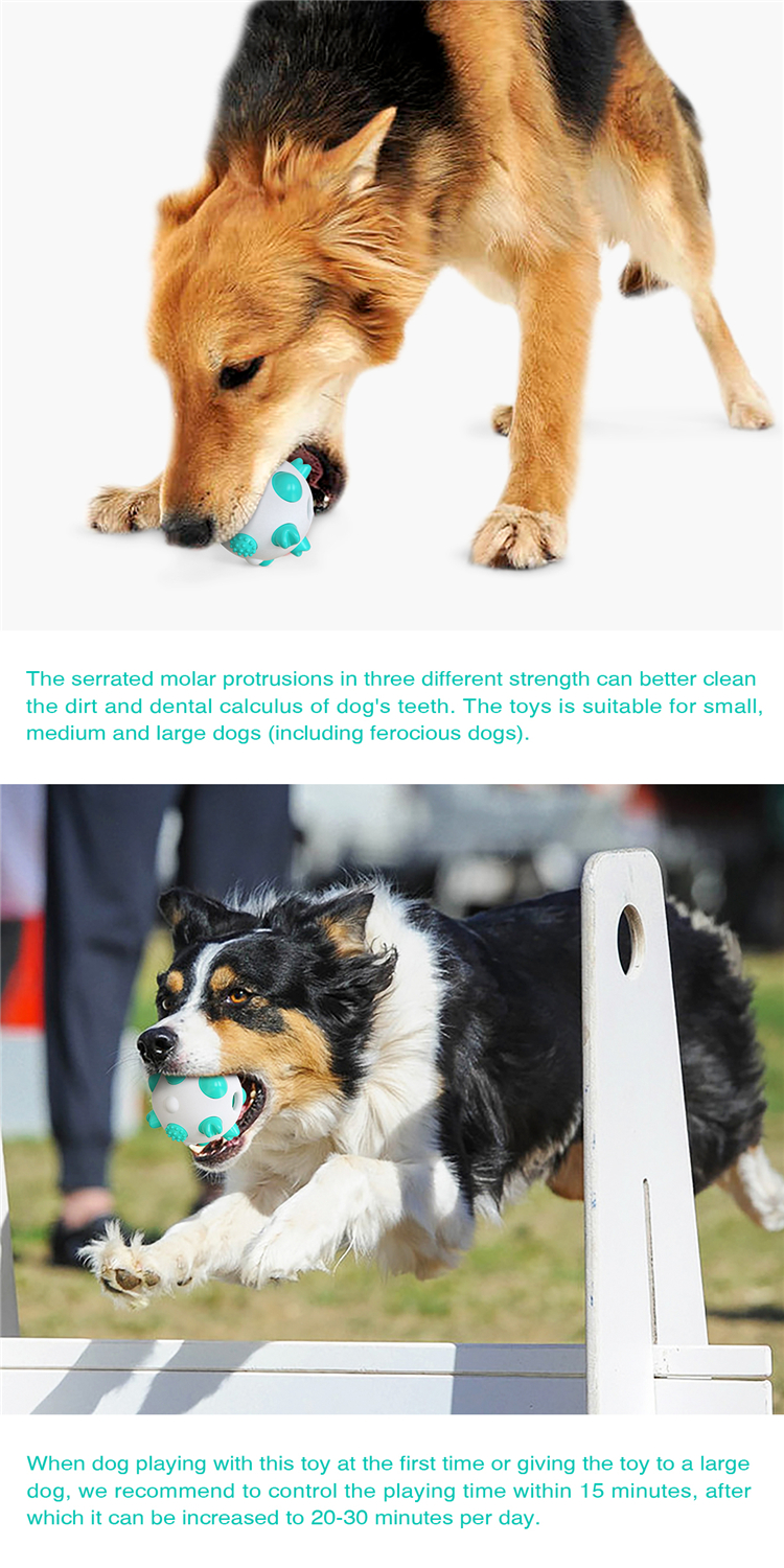 2021 Durable Interactive Dog Puzzle Toothbrush Toy Bite Resistant Ball Pet Chew Toys