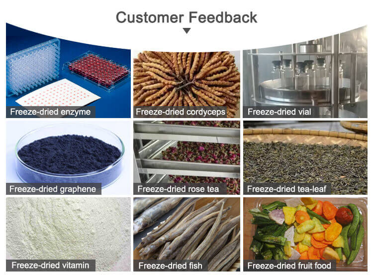 freeze dryer application