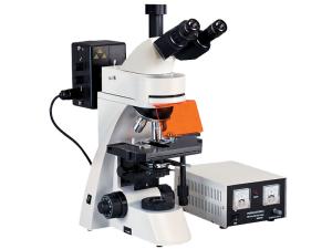 China Trinocular Led Epi Epifluorescent Microscope wholesale