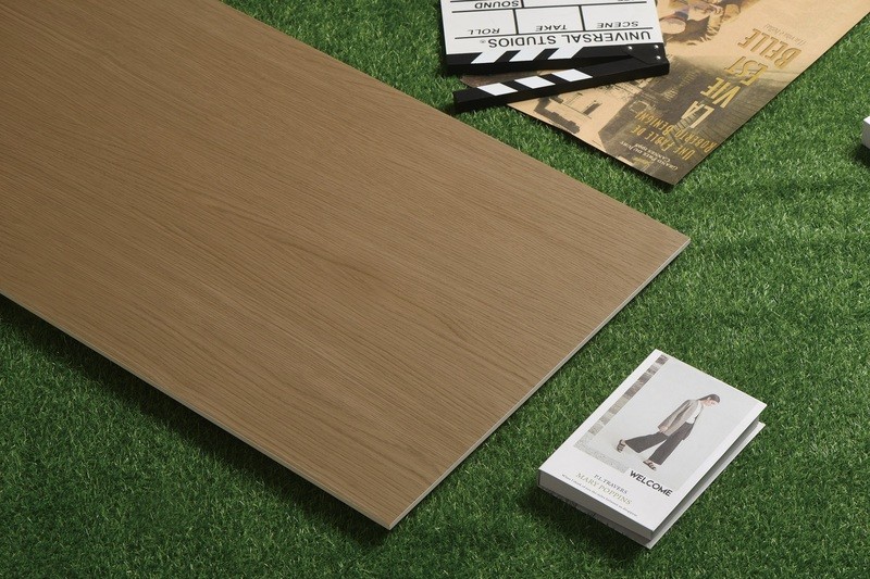 24"X48" Acid-Resistance Tiles And No Fade Interior Wall Wood Like Porcelain Tile For Renovation