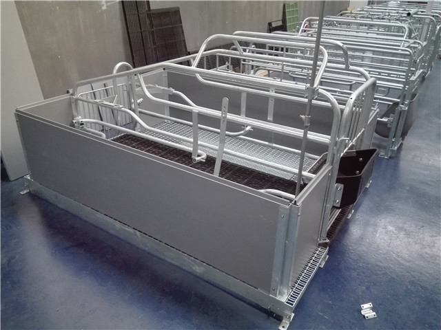hot dip galvanized pig farrowing crate pig cages for pig farming