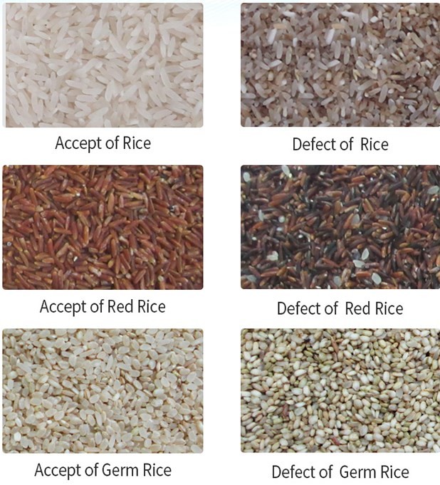 Wenyao Manufacturer color Sorting Machine Seeds Color Sorter for Agriculture