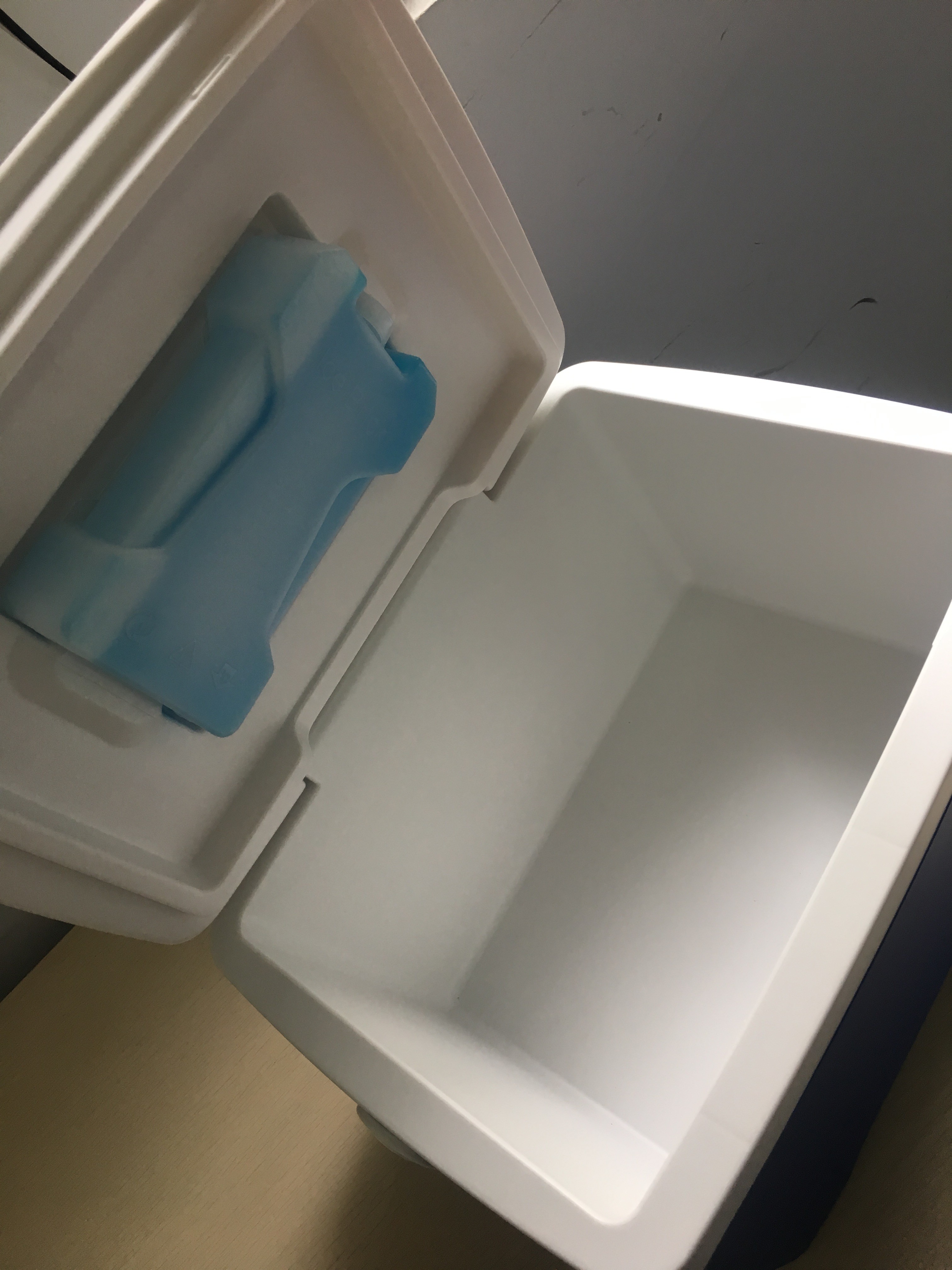 Customized Color 8L Insulated Cooler Box Household Convenient Use Virgin PP EPS Foam