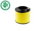 Foreman Shipping Honda Motorcycle Air Filter For TRX300FW TRX400FW TRX450S