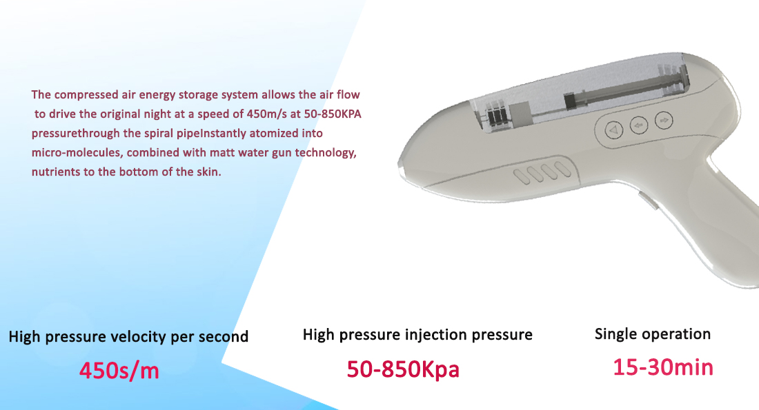 Portable RF Skin Tightening Machine 500W No Needle Mesotherapy Machine Anti Aging