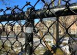 chain link mesh