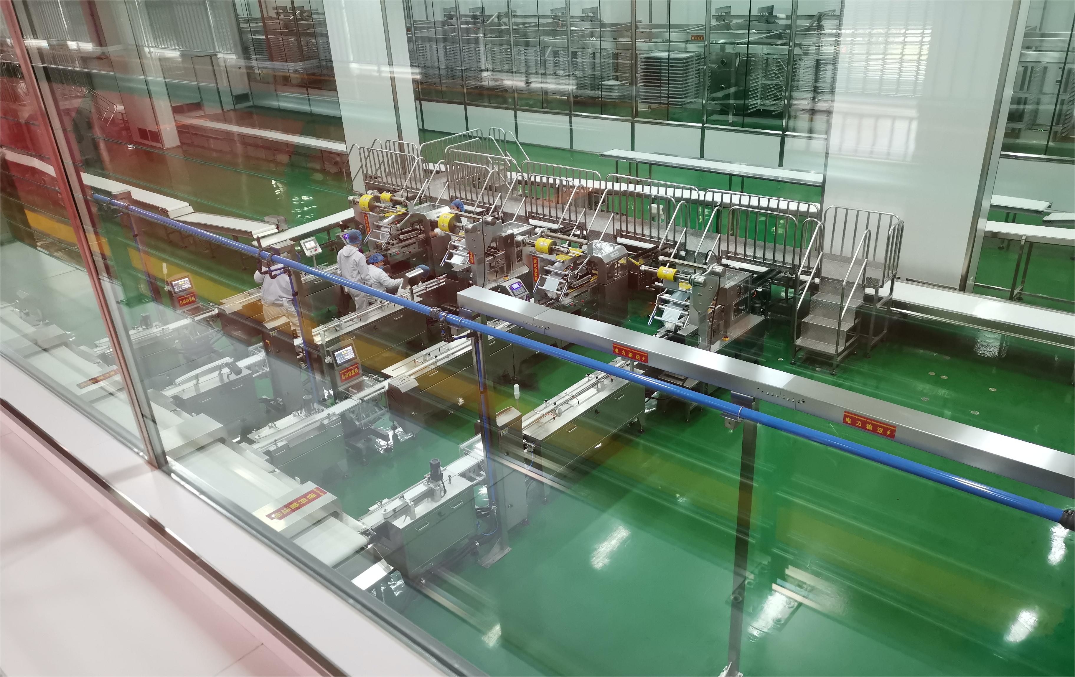 Fully Automatic Cartoning And Palletizing Production Line