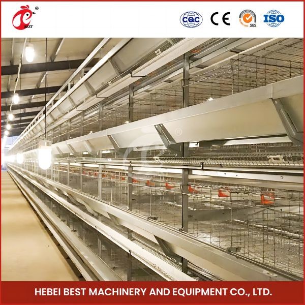 Hot Dipped Galvanized Chick Brooder Cage Automatic Ventilation Iris