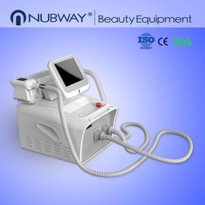 China Best Price Portable Cryolipolysis Slimming Machine Cryotherapy Lipo Laser wholesale