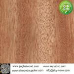 Bintangor,oak,maple natrual veneer