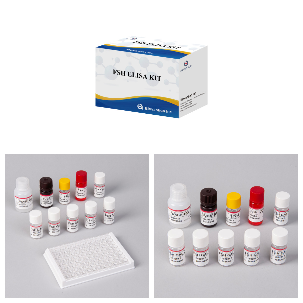 18-Month Shelf Life Sensitivity FSH (Quantitative)ELISA Kit for Antigens Antibodies Detection