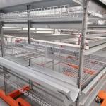 Poultry Farming Equipments/Egg Layer Cages/Steel Duck Cage For Malaysia Farms