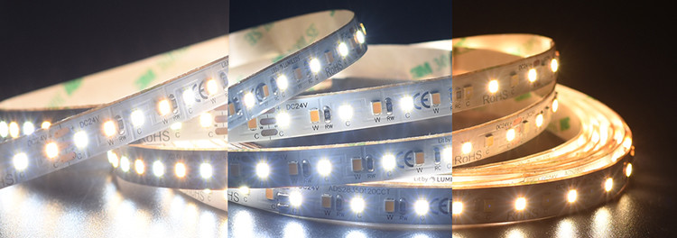 CCT Tunable Adjustable Led Strip Light WW CW Led Streifen Farbwechsel Dmmbar